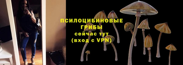 круглые Бронницы