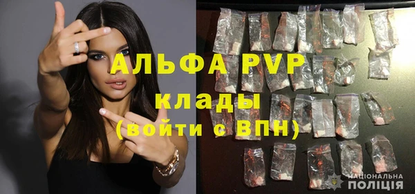 спайс Бородино