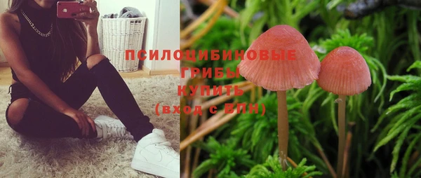 круглые Бронницы