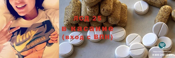 спайс Бородино