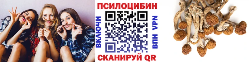 Псилоцибиновые грибы Magic Shrooms  Ростов 