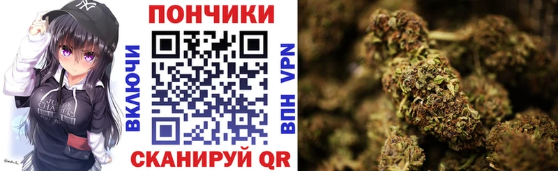 Шишки марихуана AK-47 Ростов